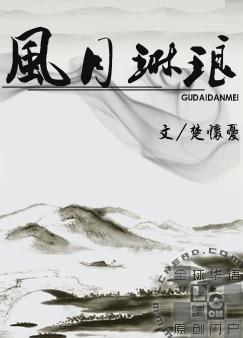 風月琳瑯小说封面